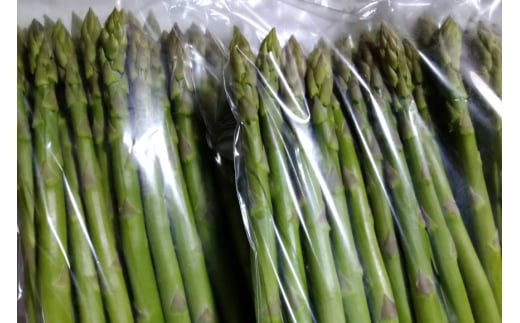 アスパラガス あすぱらがす 【農家直送】夏芽アスパラガス 1.5kg（L以上） [前平農園 長崎県 東彼杵町 hs42bag540003] アスパラガス アスパラ 野菜 やさい 新鮮 夏野菜 あすぱらがす あすぱら