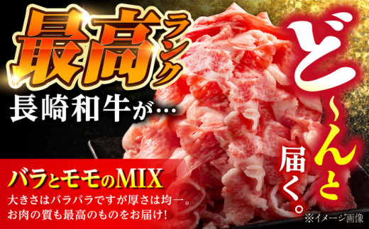 【全12回定期便】長崎和牛 バラ・もも 切り落とし 計8.4kg (約700g×12回) 肉 お肉 牛肉 赤身 和牛 切り落とし バラ もも 東彼杵町/黒牛 [BBU019]