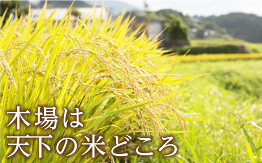 【令和6年度産】木場湧水米＜ひのひかり＞ 10kg×1袋 / 東彼杵町 / 木場みのりの会 / お米 米 白米 ふっくら ツヤツヤ 甘い 国産 10?s [BAV002] 