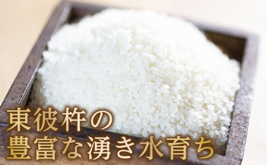 【令和6年度産】【2回定期便】 湧水米＜なつほのか＞5kg×2回 お米 米 こめ お米 白米 精米 甘い 国産 5kg 定期便 東彼杵町/木場みのりの会 [BAV041]