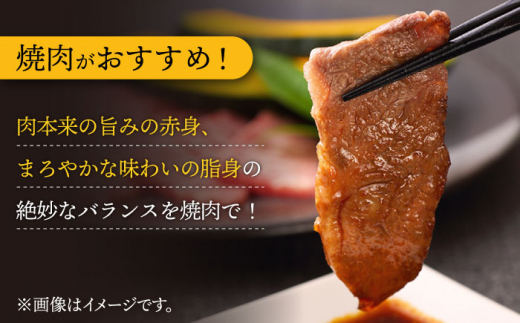 【6回定期便】 長崎和牛 切り落とし（焼肉用）600g  赤身 霜降り 部位ミックス BBQ やきにく うまい ジューシー 東彼杵町/有限会社大川ストアー [BAJ110]