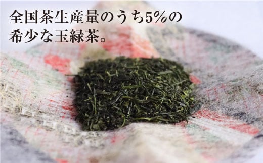 【長崎県優良特産品推奨品】そのぎ茶 (特上) 100g×5袋入り 茶 ちゃ お茶 おちゃ 緑茶 りょくちゃ 日本茶 茶葉 東彼杵町/酒井製茶 [BBV009] 