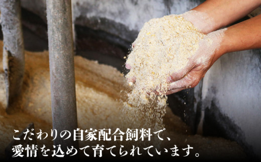 【農場直営/A4ランク】長崎和牛赤身ステーキ 400g（200g×2）あかみ ステーキ 人気 おすすめ オススメ 日本一 【焼肉音琴】 [BCT009]