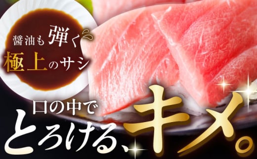 【全3回定期便(月1回)】長崎県産 本マグロ 大トロ 皮付き 約600g 【大村湾漁業協同組合】 [BAK028]/大トロ 大とろ まぐろ 刺身