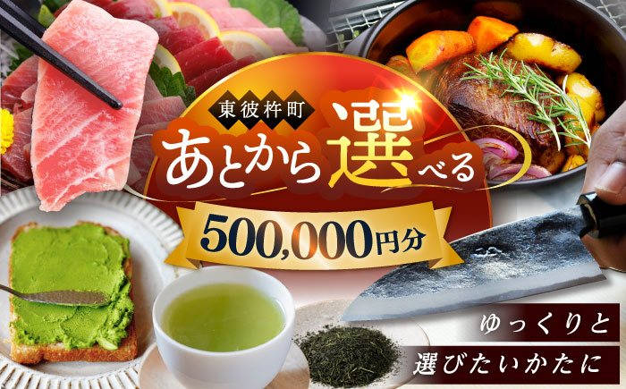 【あとから選べる】東彼杵町ふるさとギフト 50万円分/寄付 あとから寄附 あとからギフト あとからセレクト あとからチョイス あとから選べる 長崎県 駆け込み寄附 後から選べる 後から選べるギフト 後からセレクト 先に寄付 500000 50万 [BZW008]