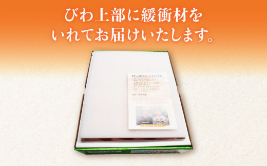 【2025年3月中旬より順次発送】東彼杵町産 長崎 ハウス びわ  1kg 化粧箱入 [BDC002]