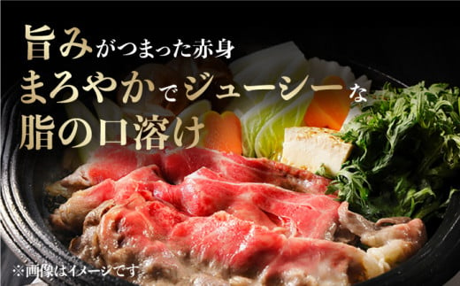 長崎和牛 切り落とし 600g 和牛 牛肉 赤身 すき焼き 霜降り 切り落とし すき焼き しゃぶしゃぶ  切り落とし 東彼杵町/有限会社大川ストアー [BAJ046]