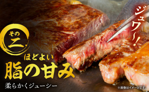 長崎和牛 贅沢食べ比べ（ヒレ・サーロイン） 計700g /  ヒレステーキ サーロイン さーろいん ヒレ ひれ フィレ ステーキ すてーき 赤身 ヒレ肉 ヒレ肉ステーキ 人気 希少部位 牛肉 長崎和牛 / 東彼杵町 /黒牛 [BBU004] 2枚 50000 5万