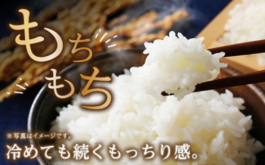 【令和6年度産】【6回定期便】 湧水米＜ひのひかり＞5kg×6回 お米 米 こめ お米 白米 精米 甘い 国産 5kg 定期便 東彼杵町/木場みのりの会 [BAV025]