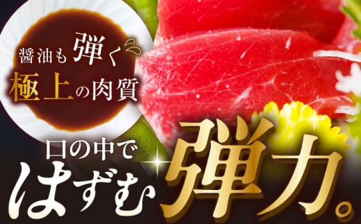 【全6回定期便(月1回)】長崎県産 本マグロ 赤身 500g まぐろ 鮪 さしみ 刺身 刺し身 冷凍 東彼杵町/大村湾漁業協同組合 [BAK023]