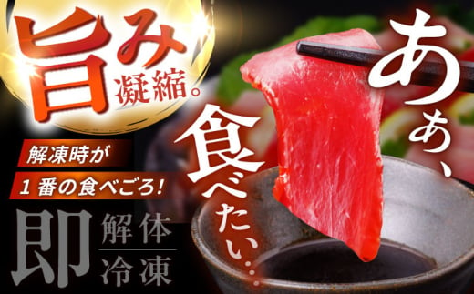 【全3回定期便(月1回)】長崎県産 本マグロ 赤身 約500g まぐろ 鮪 さしみ 刺身 刺し身 冷凍 東彼杵町/大村湾漁業協同組合 [BAK022]