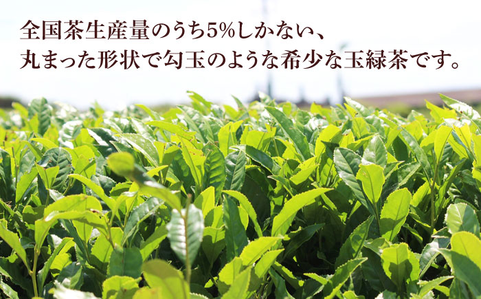 そのぎ茶（極上）100g×２袋/日本茶 茶 茶葉 お茶 緑茶 そのぎ茶 ちゃ りょくちゃ 東彼杵町/有限会社まるせい酒井製茶 [BBV035]