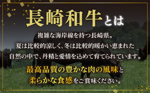 【3回定期便】長崎和牛 シャトーブリアン 200g×4枚/ ヒレステーキ ヒレ ひれ フィレ ステーキ すてーき シャトーブリアン シャトー  希少部位 牛肉 長崎和牛/東彼杵町/有限会社大川ストアー [BAJ103]  240000 24万