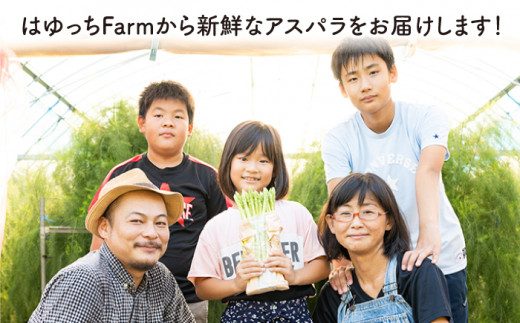 【生で食べれるほどの新鮮さ】夏芽アスパラガス 3.0kg (Lサイズ以上) アスパラガス アスパラ 野菜 新鮮 夏野菜 東彼杵町/はゆっちFarm [BBW004]