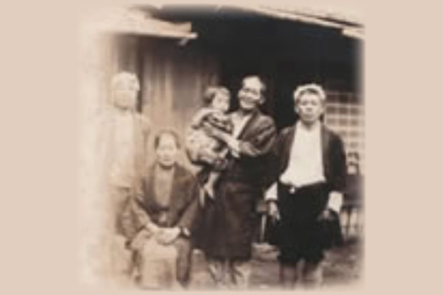 お茶 緑茶 そのぎ茶3種セット 各100g [そのぎ茶深緑の里 長崎県 東彼杵町 hs42bag570001] お茶 茶葉 緑茶 日本茶 茶 さえみどり やぶきた はるみどり そのぎ茶