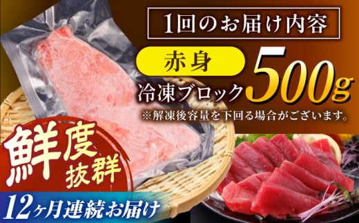 【全12回定期便(月1回)】長崎県産 本マグロ 赤身 500g まぐろ 鮪 さしみ 刺身 刺し身 冷凍 東彼杵町/大村湾漁業協同組合  [BAK024]