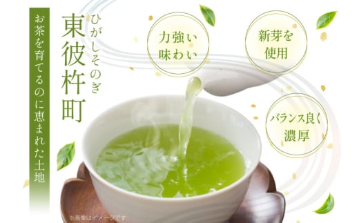 そのぎ茶 長崎 そのぎ茶 山霧 80g 3袋 [茶友 長崎県 東彼杵町 hs42bag430002] ちゃ 茶 おちゃ お茶