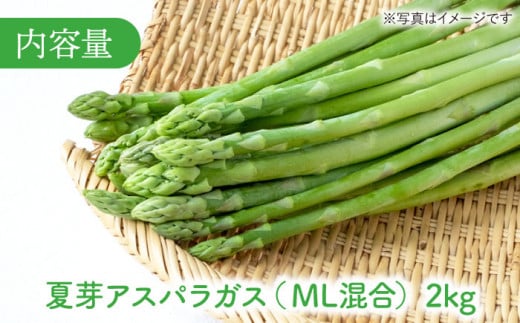 【農家直送】夏芽アスパラガス 2kg (M・L混合)  アスパラガス アスパラ 野菜 新鮮 夏野菜 東彼杵町 / 前平農園 [BCG005]