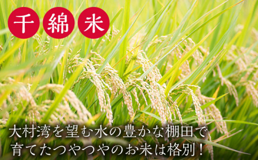  【全11回定期便】令和6年度産 千綿米【10kg×11回】お米 米 白米 ふっくら ツヤツヤ 甘い 国産 10kg [BAT007]