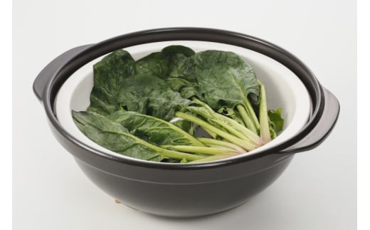 直火対応 トーセラム鍋21cm スチームプレート付き [トーセラム 長崎県 東彼杵町 hs42bag480032] 耐熱陶器 鍋21cm キャンプ アウトドア キッチン用品 日本製