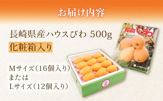 【2025年3月中旬より順次発送】東彼杵町産 長崎 ハウス びわ 500g 化粧箱入  [BDC001]