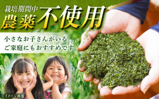 【TVで紹介！】栽培期間中農薬不使用 そのぎ抹茶 計1kg (100g×10袋) 茶 お茶 抹茶 緑茶 日本茶 東彼杵町/FORTHEES [BBY005]