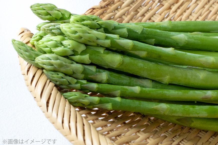 アスパラ アスパラガス 春芽アスパラガス 2kg L サイズ以上 [はゆっちFARM 長崎県 東彼杵町 hs42bag360015] アスパラ あすぱら 新鮮 春