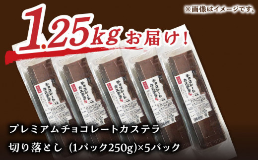 【期間限定の人気商品】チョコレートカステラ 切り落とし5パック【長崎心泉堂】訳あり 切り落とし スイーツ ケーキ おやつ 焼き菓子 和菓子 [BAC058]