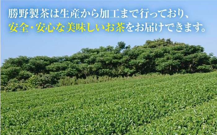 そのぎ茶（さえみどり＆やぶきたブレンド茶）100g×3本 茶 茶葉 お茶 緑茶 そのぎ茶 東彼杵町/勝野製茶 [BCJ002]