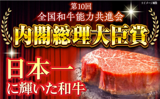 【6回定期便】長崎和牛 赤身定期便 約2人前 赤身ステーキ 赤身肉 赤み 牛肉 ヒレ ヒレステーキ 東彼杵町/焼肉音琴 [BCT033]