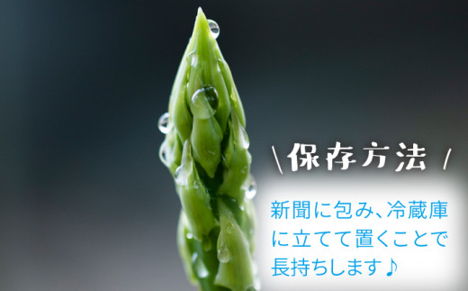 【生で食べれるほどの新鮮さ】夏芽アスパラガス 3.0kg (Lサイズ以上) アスパラガス アスパラ 野菜 新鮮 夏野菜 東彼杵町/はゆっちFarm [BBW004]