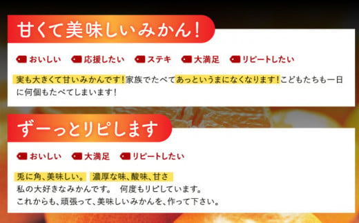 【2024年11月下旬より順次発送】山田さん家の濃厚！温州みかん 10kg /フルーツ みかん ミカン 柑橘 期間限定 東彼杵町 [BBM001]