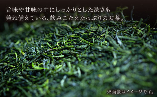 【全6回定期便】天然玉露 そのぎ茶 「あさつゆ」計12袋 (約100g×2袋/回) 茶 お茶 日本茶 茶葉 東彼杵町/月香園 [BAG010]