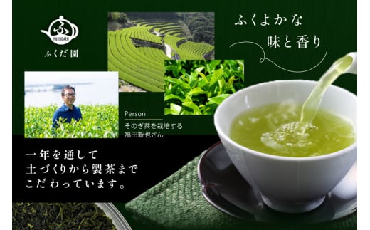 お茶 そのぎ茶 【TVで紹介！】そのぎ茶 (極上) 100g 3袋入 [ふくだ園 長崎県 東彼杵町 hs42bag770001] 茶 ちゃ お茶 おちゃ 緑茶 りょくちゃ 日本茶 茶葉