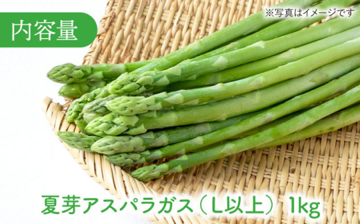 【農家直送】夏芽アスパラガス 1kg（L以上）アスパラガス アスパラ 野菜 やさい 新鮮 夏野菜 あすぱらがす あすぱら / 東彼杵町 / 前平農園 [BCG002]