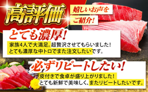 【全12回定期便(月1回)】長崎県産 本マグロ 中トロ皮付き 約700g 【大村湾漁業協同組合】 [BAK027]/中トロ 中とろ まぐろ 刺身