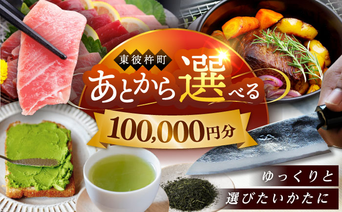 【あとから選べる】東彼杵町ふるさとギフト 10万円分/寄付 あとから寄附 あとからギフト あとからセレクト あとからチョイス あとから選べる 長崎県 駆け込み寄附 後から選べる 後から選べるギフト 後からセレクト 先に寄付 100000 10万 [BZW006]