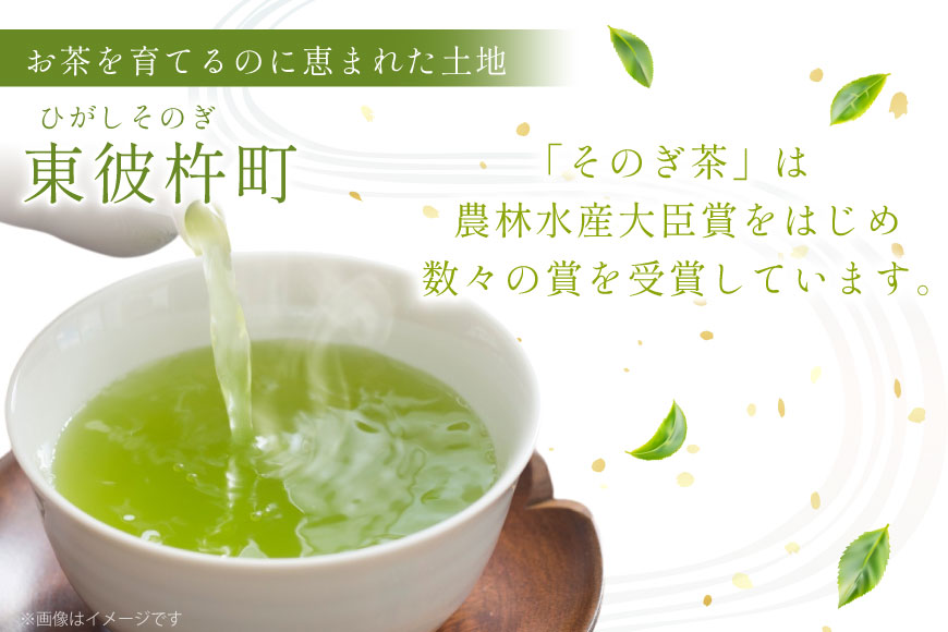 緑茶 長崎 ティーバッグ 炒り蒸し 緑茶 ティーバッグ 3g 12パック 2袋 [茶友 長崎県 東彼杵町 hs42bag430003] ちゃ 茶 おちゃ お茶 ティーパック