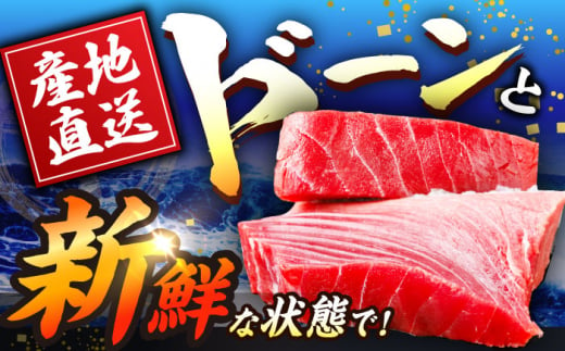 【全3回定期便(月1回)】長崎県産 本マグロ 中トロ皮付き 約700g 【大村湾漁業協同組合】 [BAK025]/中トロ 中とろ まぐろ 刺身