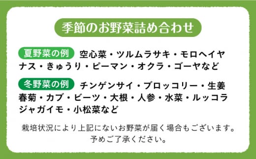 【旬の野菜を詰合せ】微生物が育てる 菌ちゃん野菜セット 野菜セット 野菜 やさい  [BCV001]