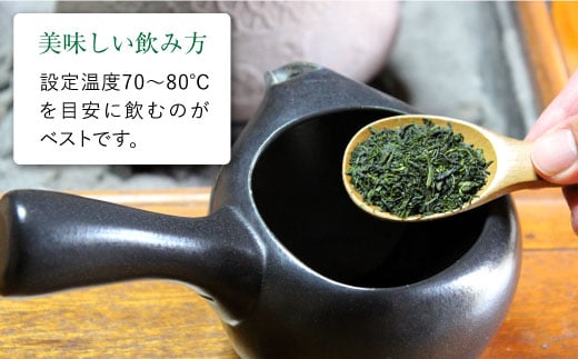 【長崎県優良特産品推奨品】そのぎ茶 (特上) 100g×5袋入り 茶 ちゃ お茶 おちゃ 緑茶 りょくちゃ 日本茶 茶葉 東彼杵町/酒井製茶 [BBV009] 