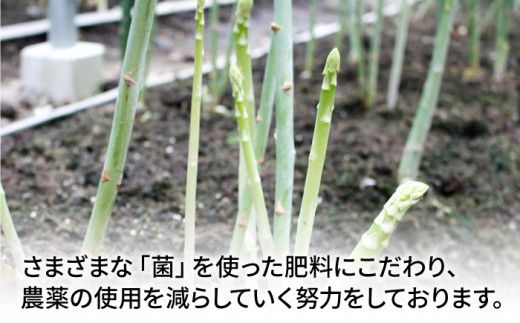 【生で食べれるほどの新鮮さ】夏芽アスパラガス 1.5kg (Lサイズ以上) アスパラガス アスパラ 野菜 新鮮 夏野菜 あすぱらがす あすぱら / 東彼杵町 / はゆっちFarm [BBW002]