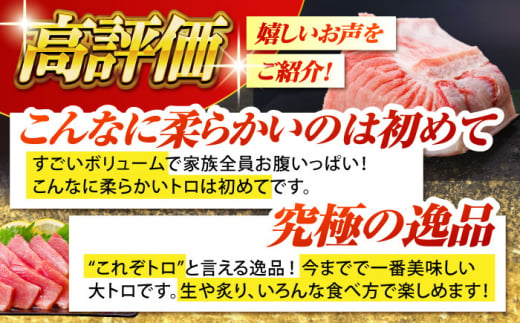 長崎県産 本マグロ「大トロ」(約600g) まぐろ 鮪 マグロ刺身 マグロ ブロック 刺身 刺し身 冷凍 東彼杵町/大村湾漁業協同組合 [BAK013]