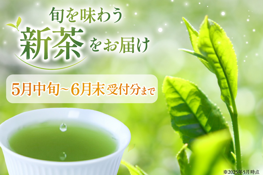 茶 緑茶 新茶 そのぎ茶 (極上) 100g 2袋入り 総計200g [まるせい酒井製茶 長崎県 東彼杵町 hs42bag370009] 茶 ちゃ お茶 おちゃ 緑茶 りょくちゃ 日本茶 茶葉