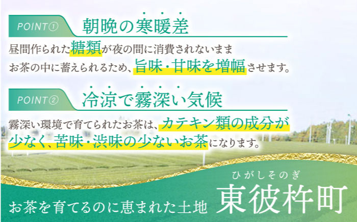 茶友ティーバッグセット 4袋 /ティーバッグ ティーパック お茶 茶 緑茶 ほうじ茶 焙じ茶 紅茶 和紅茶 東彼杵町/有限会社茶友 [BAM008]