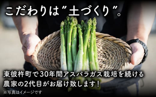 【農家直送】夏芽アスパラガス 1.5kg（M・L混合）アスパラガス アスパラ 野菜 新鮮 夏野菜 東彼杵町 / 前平農園 [BCG003]