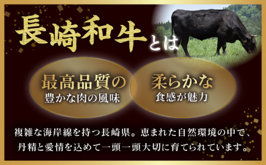 ロース薄切り (しゃぶしゃぶ用 / 500g×2) 計1kg ローススライス しゃぶしゃぶ 和牛 牛肉 赤身 東彼杵町/有限会社大川ストアー [BAJ054]