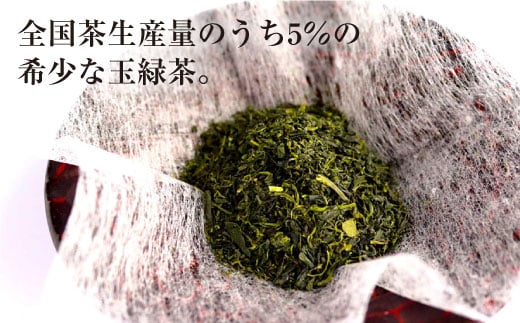 そのぎ茶 (並参) 100g×3袋入り 茶 ちゃ お茶 おちゃ 緑茶 りょくちゃ 日本茶 茶葉 東彼杵町/酒井製茶 [BBV010] 