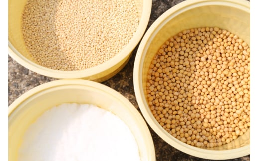 味噌 麦みそ 3kg 1袋 [大渡商店 長崎県 東彼杵町 hs42bag590004] 手作り 減塩 みそ ミソ 九州 調味料 国産