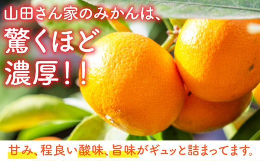 【2024年11月下旬より順次発送】山田さん家の濃厚！温州みかん 10kg /フルーツ みかん ミカン 柑橘 期間限定 東彼杵町 [BBM001]